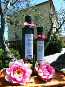 Fattoria San Paolo Agriturismo