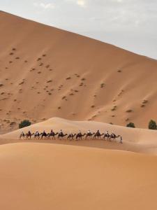 Tilila Desert Luxury Camp