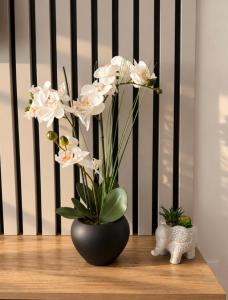Golden Haven Apart 7