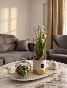 Golden Haven Apart 7