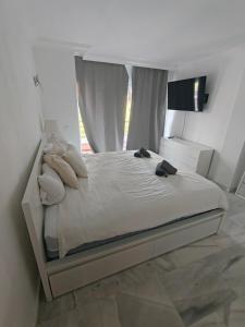 Magna Marbella