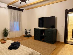 Apartament central