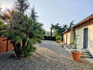 Geggiano Woods Suite - Tuscan Charm near Siena