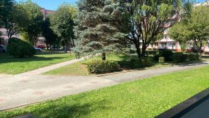 Apartament Bursztynowy