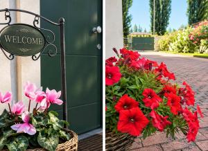 Casa Viola Vicenza - Free Parking & Relax