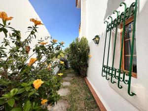Spacious apartment with garden 3 min from the beach