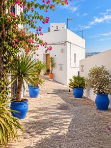 Nova Lux Vejer - Historic Center