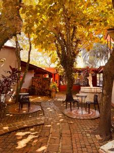 La Locanda Art & Taste Retreat