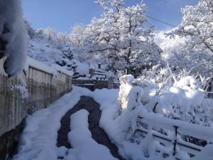 Guest House Waterfall Parnassos Greece