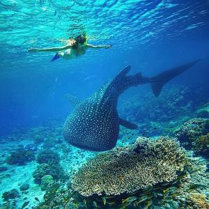 Royal Court Hotel