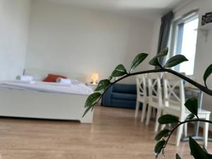 Studio Praga Wrzesińska 47