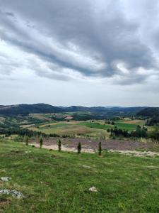 Čarobna Jutra Zlatara 2