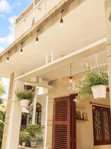 M Home Dalat - Người miền Tây làm hôm-stay