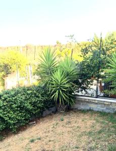 INES house Capena