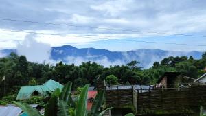 Bamboo Homestay