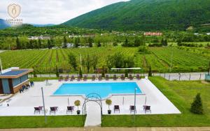 Gonadze Vineyards Hotel