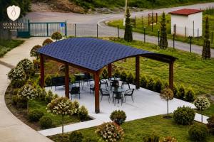 Gonadze Vineyards Hotel