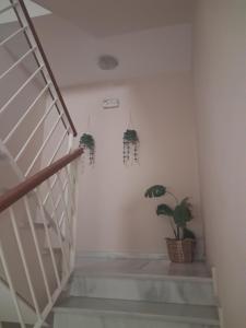 Hostal Puerta Carmona