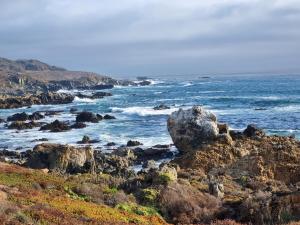 Capachito Sur, Entre Pichicuy y La Ballena, Region Valparaíso