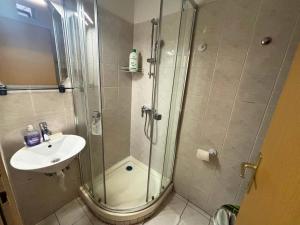 Apartma Piranesa - budget
