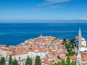 Apartma Piranesa - budget