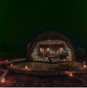 Safari Luxury Camp