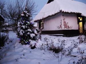 Ferienhaus Koryakivskyi Rai Dmitrenki Ukraine