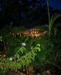 Coco Bus-Jacuzzi & Jungle, Cahuita