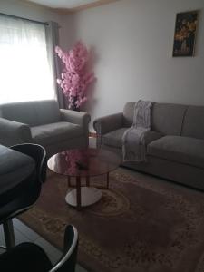 Naddim apartments