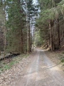 Jariabka Chalet - sun terace, fireplace, grill, space to play, green embrace of the forest in the Low Tatras