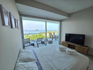 Ocean View - Peninsula Ixtapa