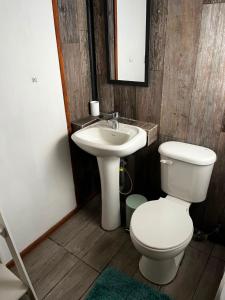 Loft en Pucon