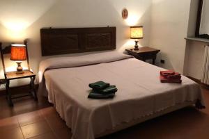Villa with private vineyard & pool, Monferrato