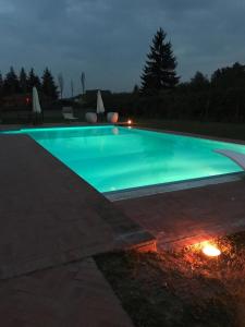 Villa with private vineyard & pool, Monferrato