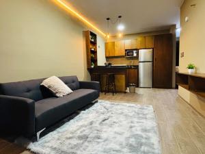 Loft Tower 77 Los Remedios 31