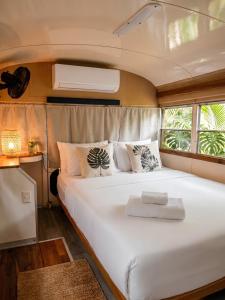 Coco Bus-Jacuzzi & Jungle, Cahuita