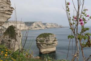 Villas Terra di sole : photos des chambres