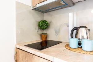 Shiny 6 Central Stay 1BR Ap Kitchen & Balcony