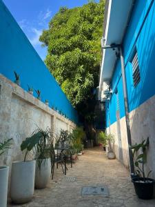 Casa Azul Colonial