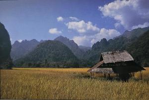 WangLee Guesthouse