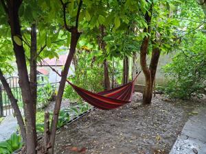Casa Cacao