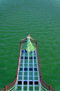 Daiichi Luxury Cruise