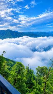 The Himalayan Amber - Luxury Stay in the Hills of Mussoorie #Couple Friendly #Restaurant #Parking