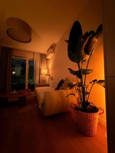 SG Premium Apartment Mokotow