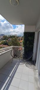 Belém Nest - Calm within the city
