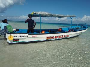 BOOM DHOW TOUR and DOLPHIN SAFARI