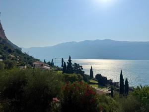Exclusive private villa with panoramic lake view and pool use