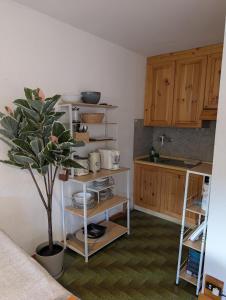 Charming Pila 1BR - Mont Blanc Views