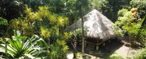 Nypa Style Resort Camiguin