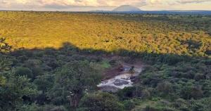 Ndanindani Lodge and Campsite